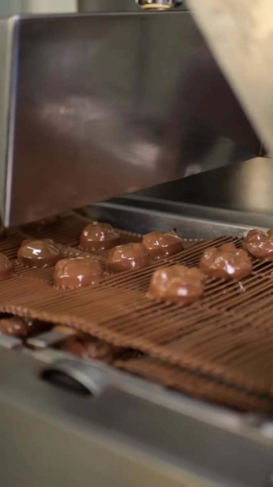 Finished protein bar prototypes developed through R&D services