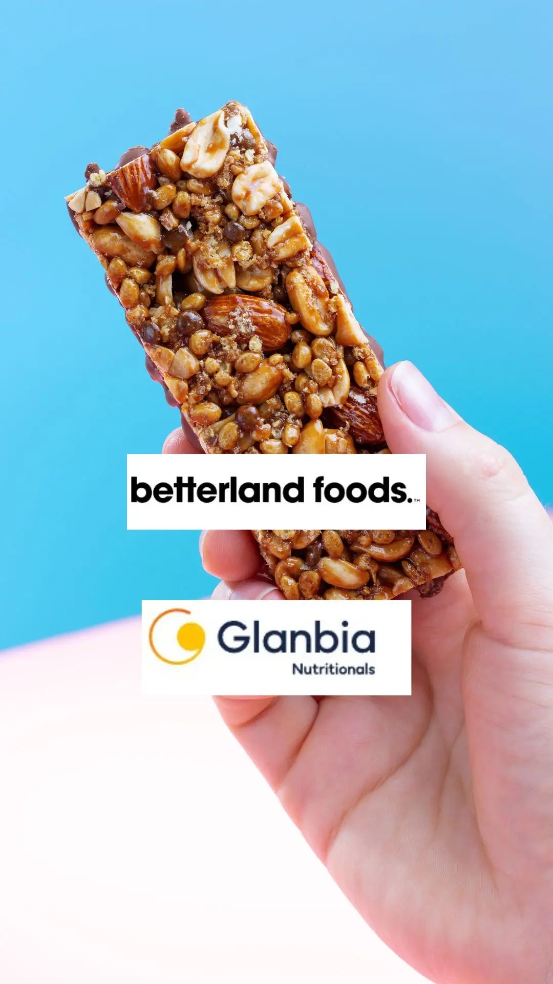 Protein bar samples prepared for formulation testing and development